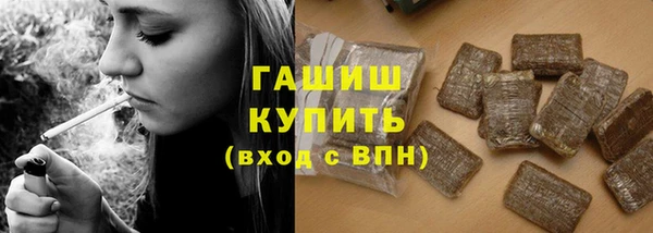 стафф Касимов