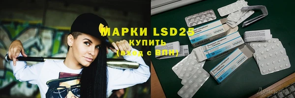 стафф Касимов
