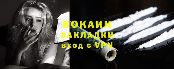 стафф Касимов