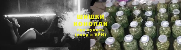 стафф Касимов