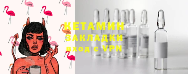 стафф Касимов