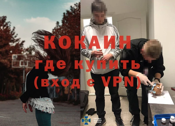 стафф Касимов