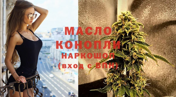стафф Касимов