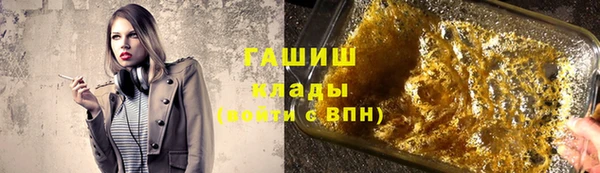 стафф Касимов