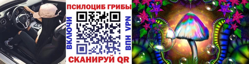 Купить где  Билибино  Псилоцибиновые грибы ЛСД 